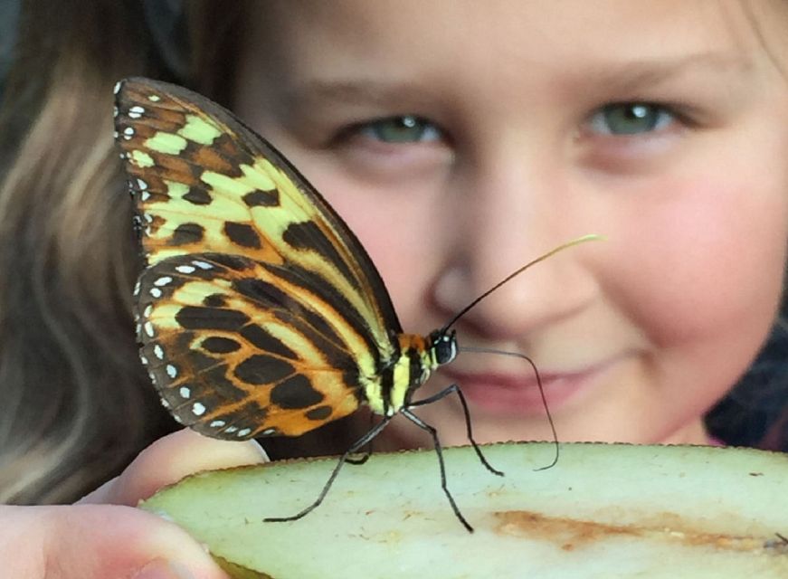 Warwickshire: The Explorer Pass by Shakespeare's England - Avon River boating and Stratford Butterfly Farm: a break that keeps your energy up