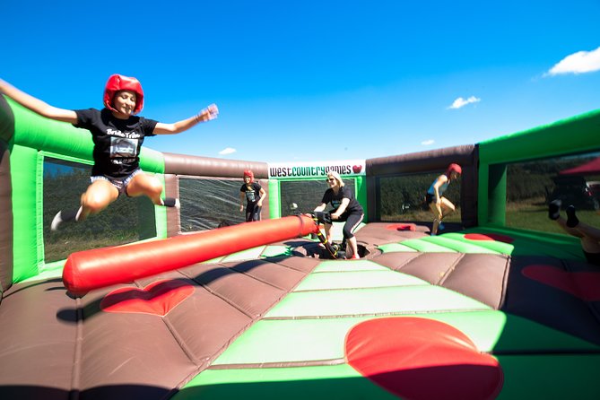 West Country Games - the most popular group activity in the South West! - Meeting point at the Greedy Goose, Gatcombe Farm