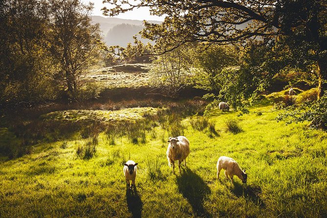 Windermere & Lake District Tour from Manchester Including Cruise - Why this Manchester to Lake District route works so well