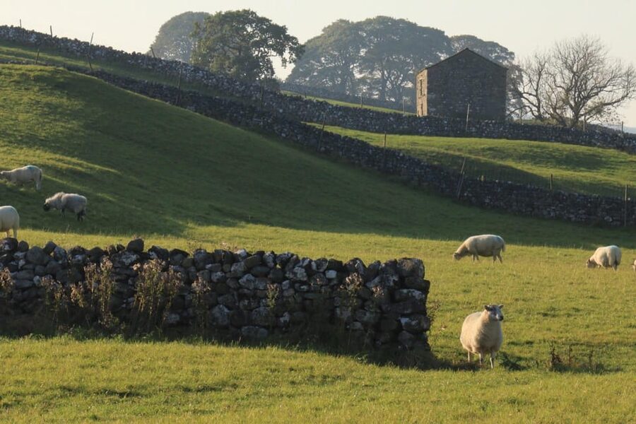 York: "All Creatures Great and Small" Yorkshire Dales Tour - Carperby’s Wheatsheaf Inn, plus a real honeymoon story