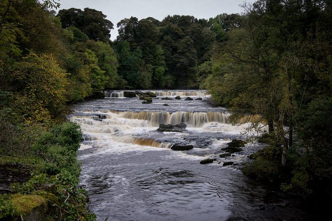 Yorkshire Dales from Windermere - Wensleydale Creamery: where the cheese stop actually matters