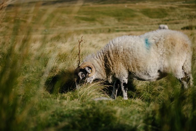 Yorkshire Dales from Windermere - Group size, guides, and how to get good photos