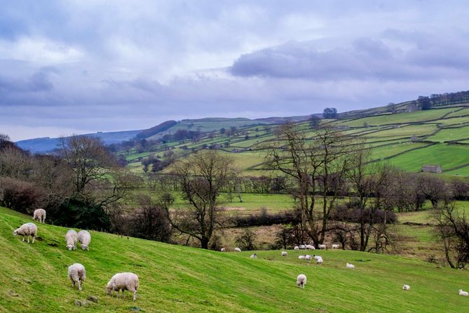 Yorkshire Dales Tour from York - Comfort on narrow roads: seating, windows, and camera tips