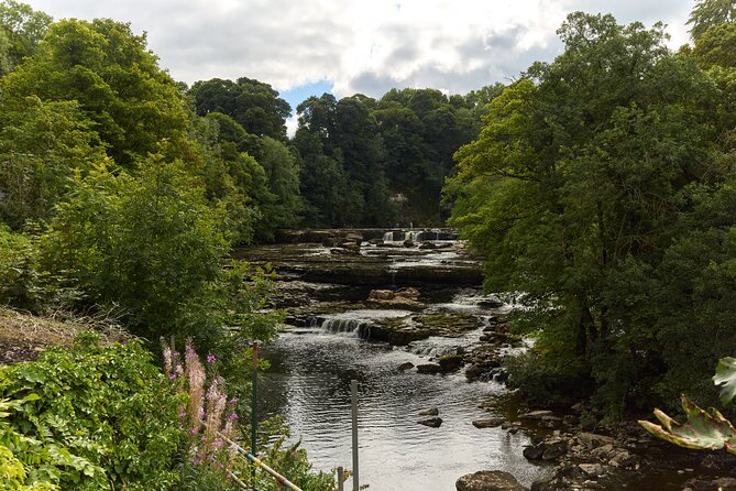 Yorkshire Dales Tour from York - Price and value: what you are really paying for